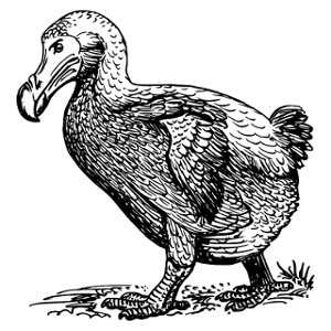 Dodo - nasjonalfuglen på Mauritius.